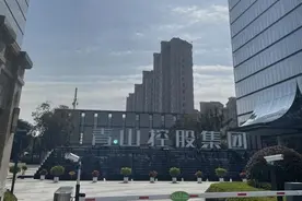青山集团霸气回应全球镍逼空大战，反败为胜防止外资收割图片