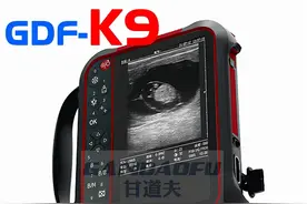 驴马用B超使用方法教程超声图像判断分析图片