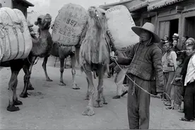 抗战时期四十万甘肃人从军报国，究竟有多少人牺牲？至今还是个谜图片