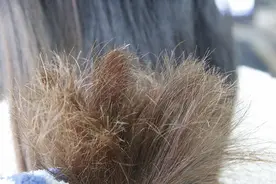 经常染发和拉直，身体会怎样？年纪轻轻长出白发，是怎么事？图片