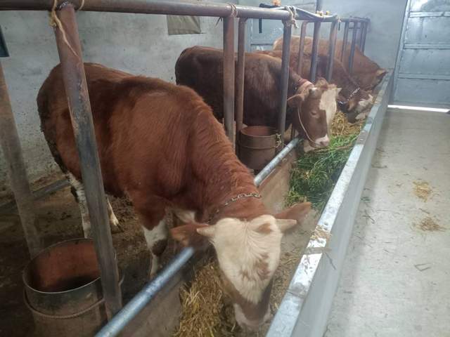 四川省民生研究会新媒体中心-官网