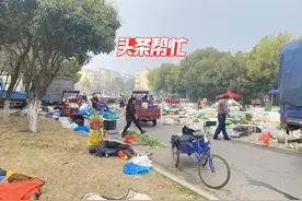 货车随便进、活鸡到处跑！合肥一小区出现“露天菜市场”，居民不堪其扰图片