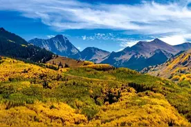 2022年林地征用费多少钱一亩？视情况区别对待，一卡通直补到户图片