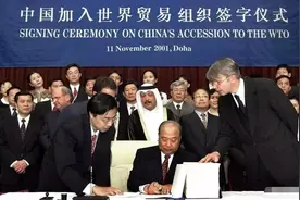 中国入世二十年，赚翻了背后也有问题，未来世贸组织可能被取代图片