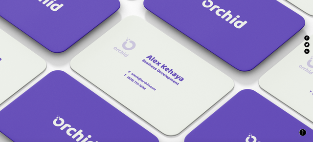 ȫ��ʮ��רҵ��վ���蹫˾