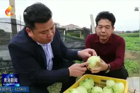 贵港市广播电视台 | 港南区新塘镇将举办第二届香瓜节图片