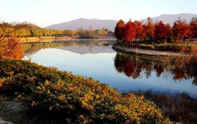 南京自驾游路线(南京自驾游旅游攻略景点必去)