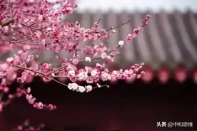 有钱不置半年闲图片