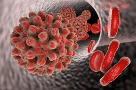 一文读懂磁性SiO2在生物领域的应用图片