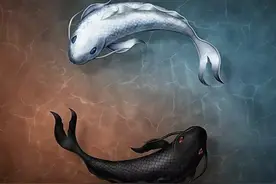 易之象数理丨天干的无限延伸——丁图片