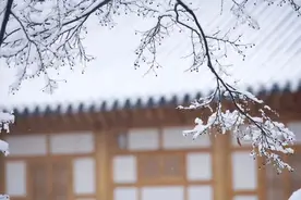 诗词丨9首诗词，9件雅事，愿你将这个冬天过成诗！图片