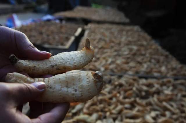 四川省民生研究会新媒体中心-官网