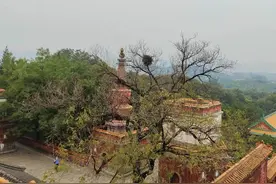 颐和园：详细导游词，详细路线，不看亏大了图片