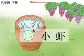 部编版三年级语文下册15《小虾》同步微课+图文讲解图片