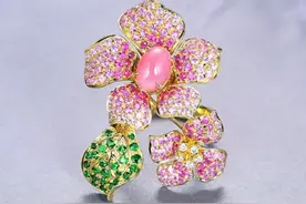 全世界每年仅产600颗的珍珠，只有三个国家允许采摘图片