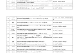 贵州正式发布第一批苗族等少数民族药材目录图片