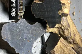 行内对奇楠沉香的定义，附高清微距图，建议收藏图片