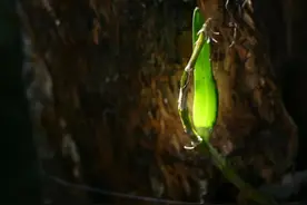 这个社会到底没有正义？图片