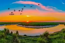 我的家乡 双鸭山 一个比较“宜居”的东北小城市图片