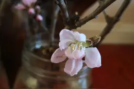 热词SWIFT是什么？为什么美国可将其作为制裁别国的工具？图片