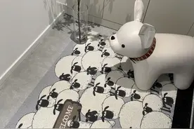 玄关最实用的12个小物件，成本不高，却能解决实际问题图片