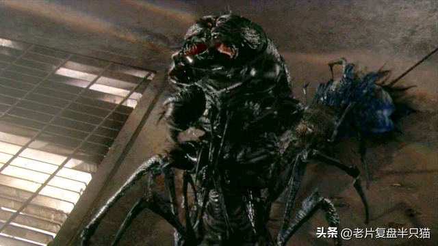 盘点《星河战队》虫族兵种，从低级兵，讲到女王和虫神