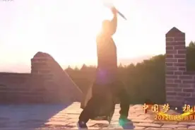 赵文卓踢剑火了，甄子丹视频下却一片嘲讽，两人待遇为何如此图片