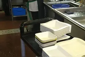 香港新移民: 我属蛇的，58岁还在做洗碗工，还有比我更苦的人吗？图片