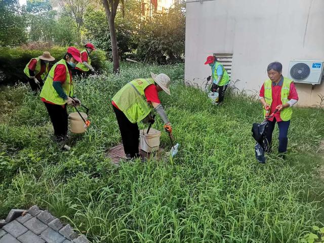 东湖新技术开辟区豹澥街分类专班黄金堂社区开展清洁家园活动