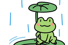 咻咻咻！厦门发射14枚火箭弹人工增雨！今起三天，全是雨雨雨图片