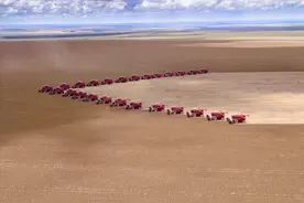 美国农业为何发达，粮食亩产量有多高？和中国相比差异在哪里？图片