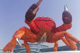 黄河口大闸蟹生态养殖关键因素分析图片