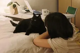 原来，独居真的会上瘾图片