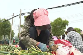 邳州“蒜”盘用得好，解决蒜农“急难愁盼”图片