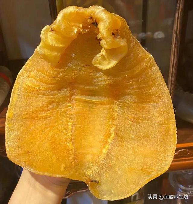 人工合成花胶 人工合成花胶可以吃吗
