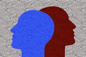 终于有人把红蓝对抗讲明白了图片