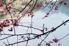 亲爱的，我爱你，好想你，醉生梦死一世情，痴心无悔一生爱图片