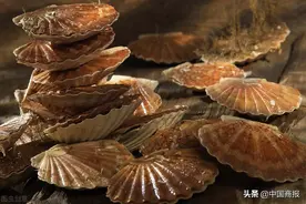辟谣火山爆发致“跑路”扇贝回游，獐子岛“扇贝大逃亡”戏码玩够了图片