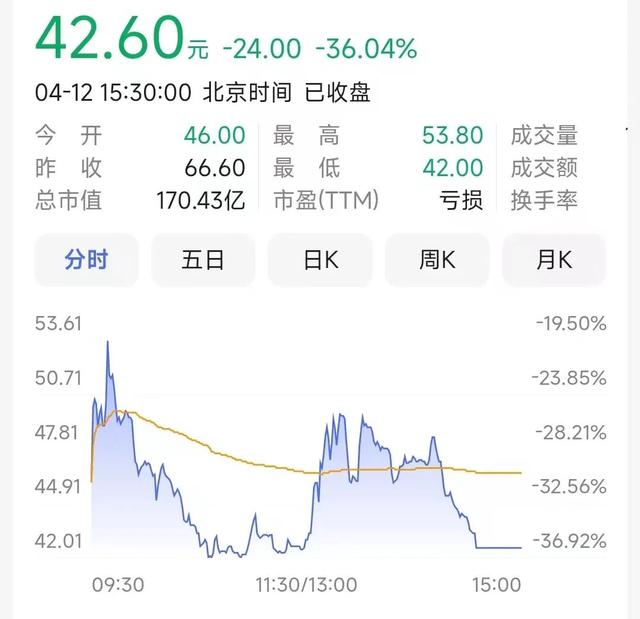 当年搞出天语手机的“山寨机教母”，靠做芯片翻盘上市了