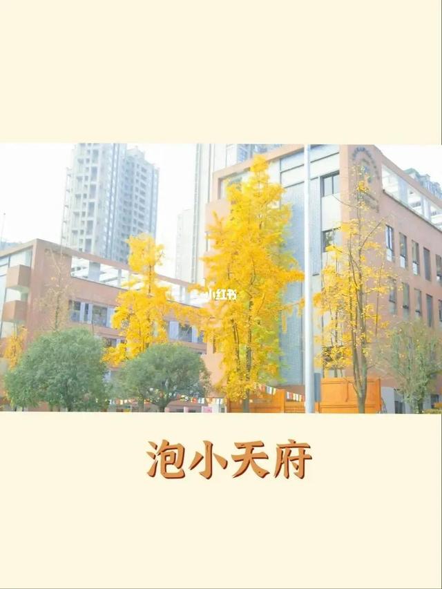 成都这些小学卡落户年限了？