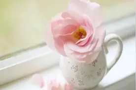 人过五十，不管多没钱，也要随这五种礼图片