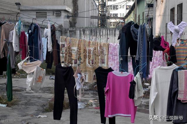 花胶的白里出租房屋 2025年白色花胶