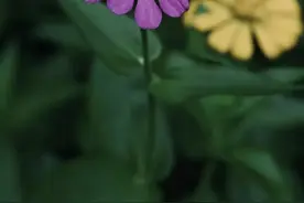 古人为何爱给自己取号？图片