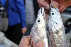 买带鱼时：碰到这3种带鱼不要买，建议了解清楚，再买不会错图片
