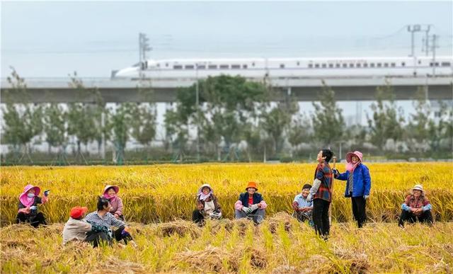 展讯 | 打开新时代美丽江苏建设的生动画卷——“美丽江苏”摄影大展开幕