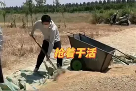 前夫冒着高温帮丈母娘收麦子，女子：离婚好几年了，以前他很少来图片