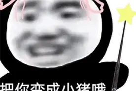 沙雕搞笑的表情包图片
