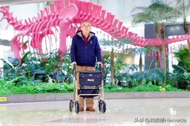 和美德手推助行车995S 打开了老年人的世界，鼓励长辈走出家门图片