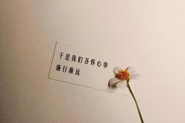 ����Ȧ�Ƽ����İ�