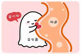 宠物营养补充剂之益生菌图片